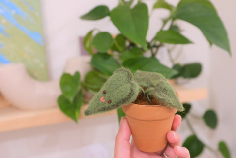 Needle Felting Scent Plant and DIY Pot Workshop (August 17th)