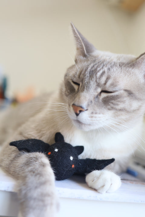 Felted Bat Cat toys Halloween Toy
