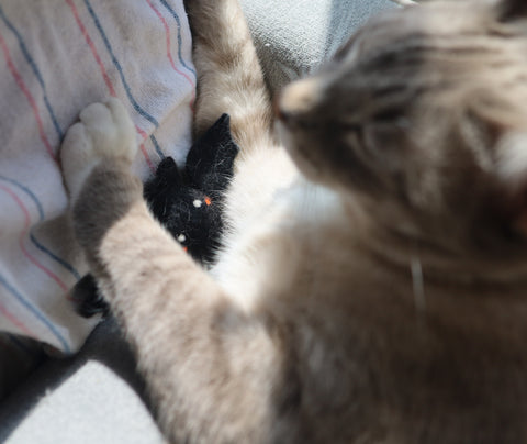 Felted Bat Cat toys Halloween Toy