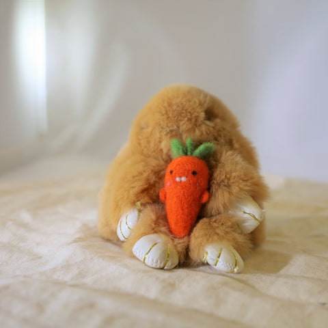 Felted Carrots Couple Kit
