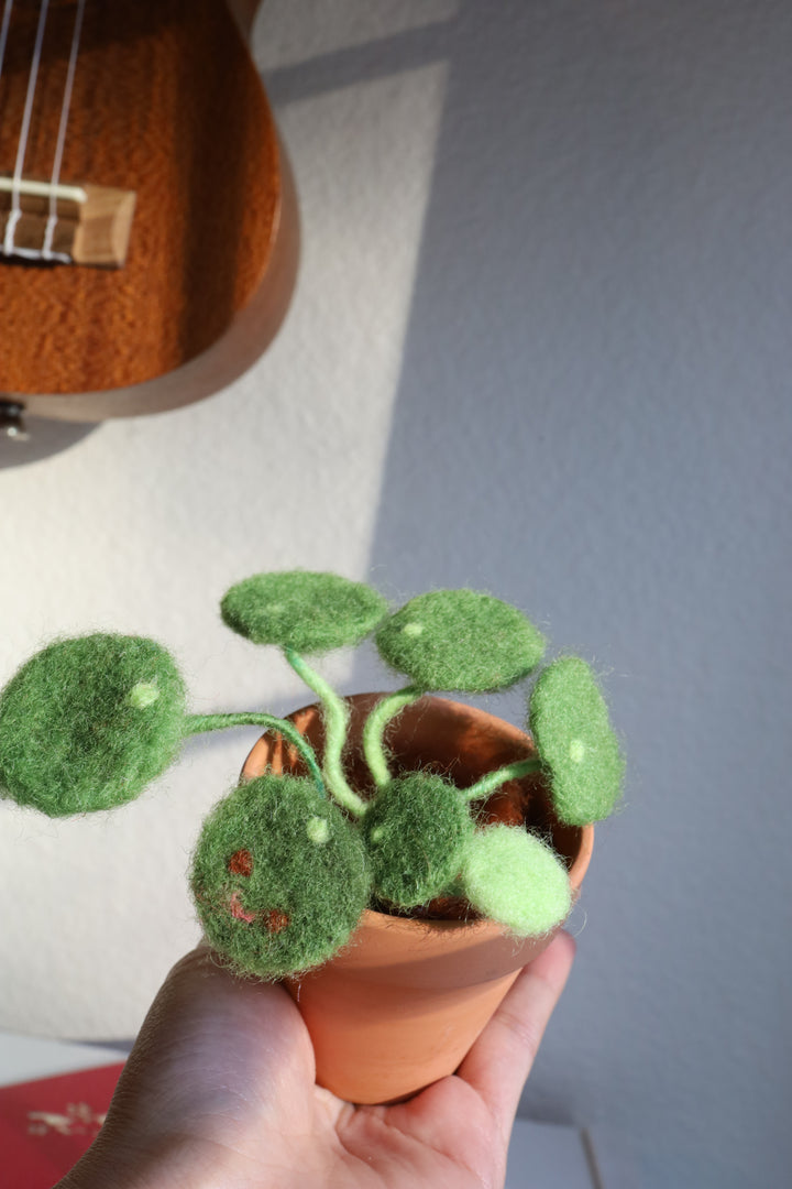 Needle Felting Money Plant Workshop