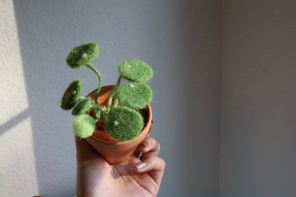 Needle Felting Money Plant Workshop