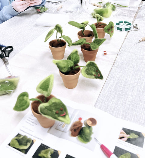 Needle Felting Scent Plant and DIY Pot Workshop (August 17th)