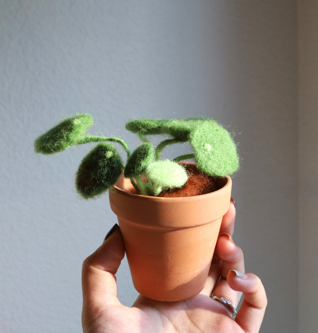 Needle Felting Money Plant Workshop