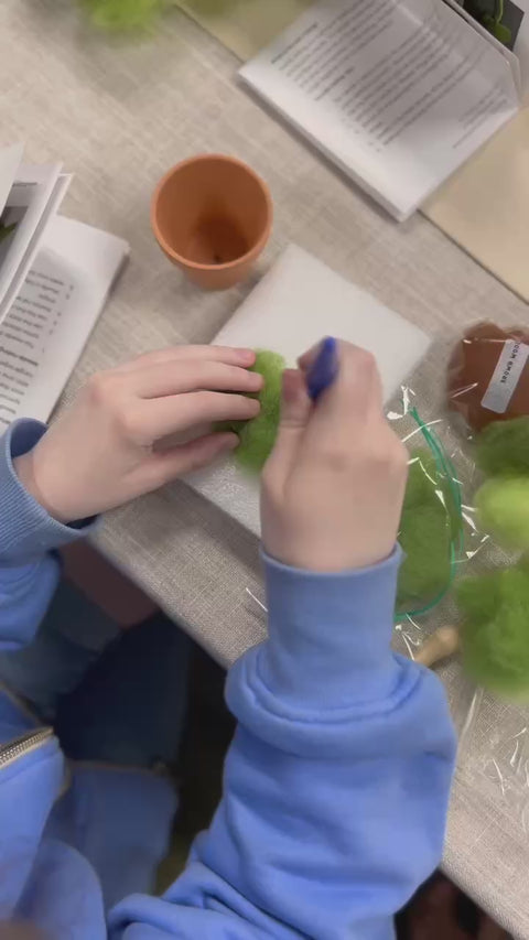 Needle Felting Money Plant Workshop