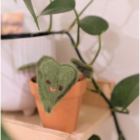 Felted Heartleaf Plant Kit