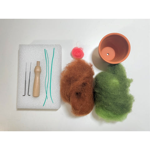 Felted Heartleaf Plant Kit