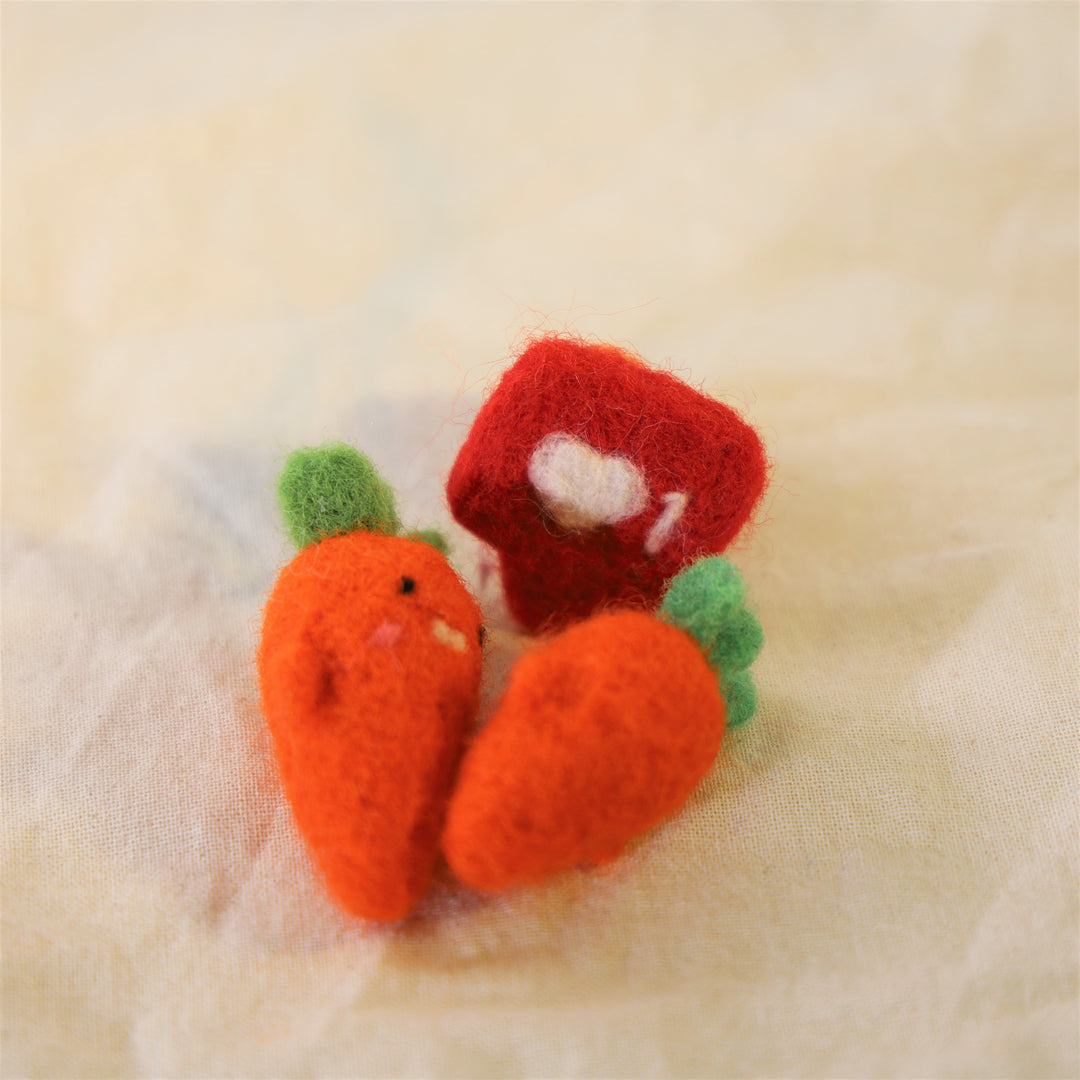 Felted Carrots Couple Kit